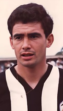 Tonín