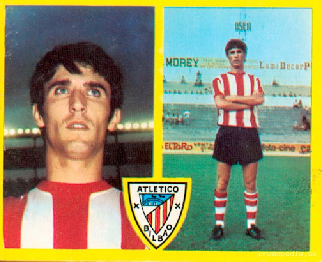 José Ángel Rojo Arroita